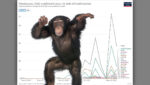 „Angstporno“ – Statistik-Seite Our World in Data fügt Affenpocken als Pandemie hinzu