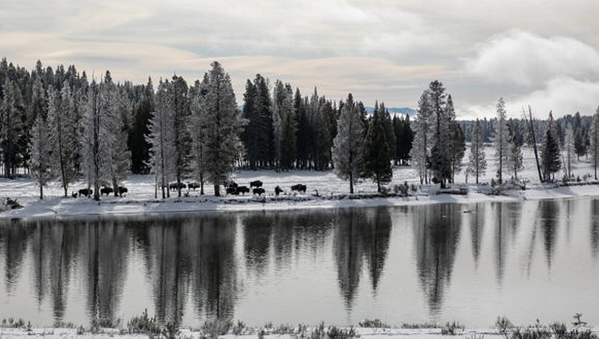 Langzeitstudie: winterliche Eisdecke am Yellowstone See über 100 Jahre unverändert