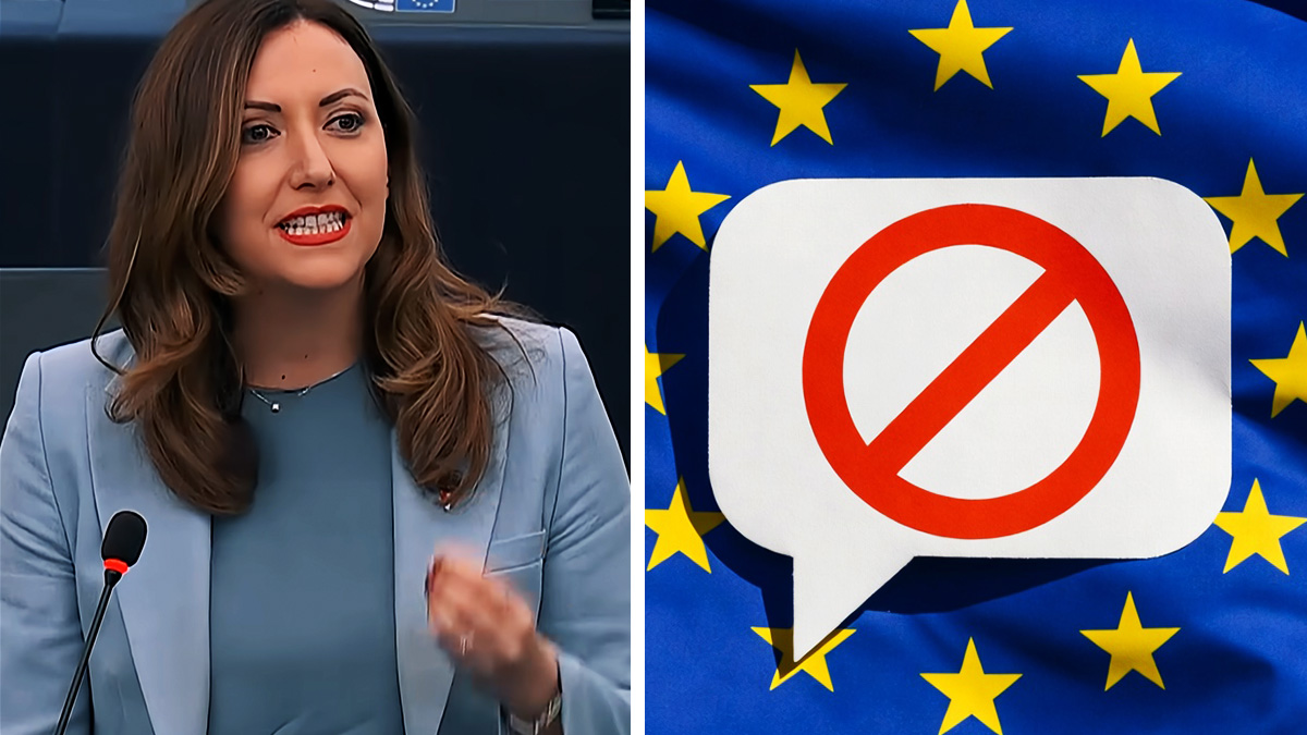 Massive Zensurvorwürfe gegen Brüssel: Steger prangert Frontalangriff auf Grundrechte an